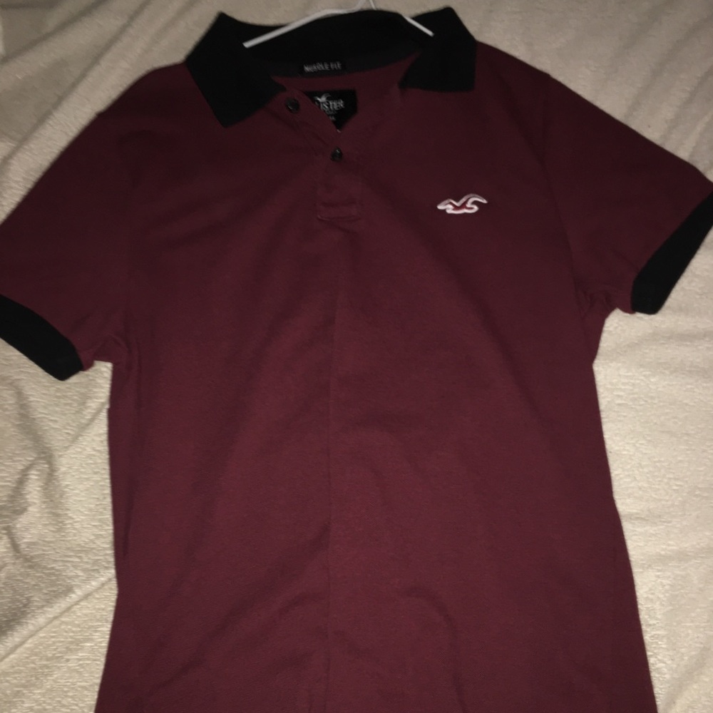 Holister muscle fit polo medium